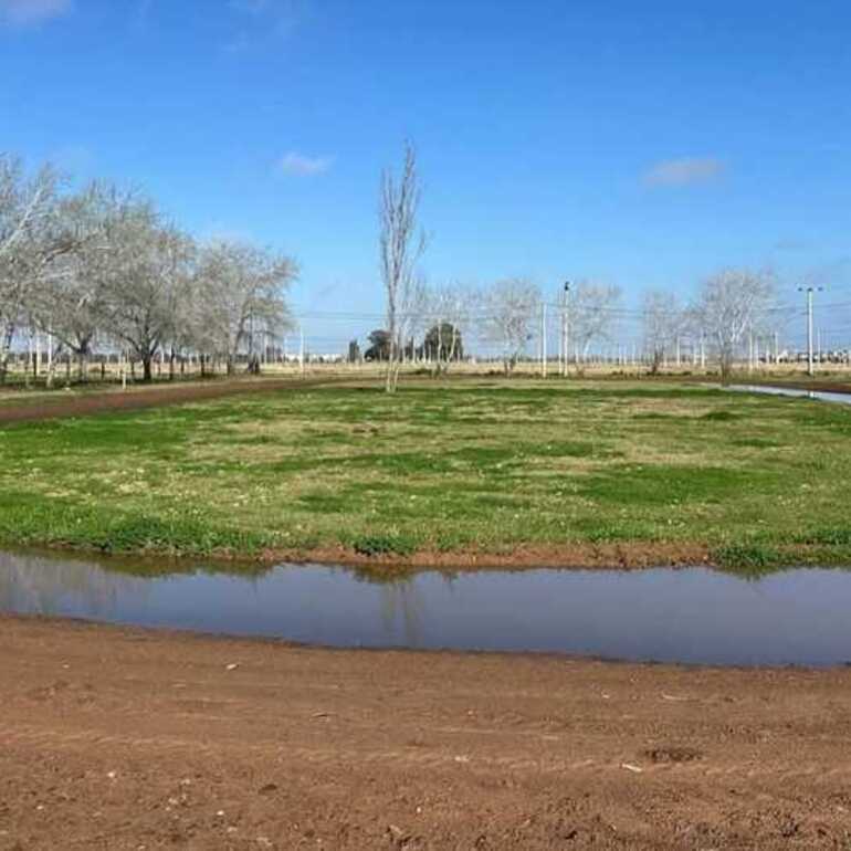 Imagen de Limpieza de piletas decantadoras y pista de atletismo: Las dos obras para las que lleg&oacute; el dinero, se aprobaron y el Ejecutivo no las realiz&oacute;