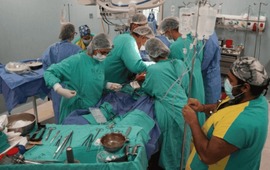 Imagen de El HECA realiz&oacute; una ablaci&oacute;n de &oacute;rganos con una t&eacute;cnica in&eacute;dita