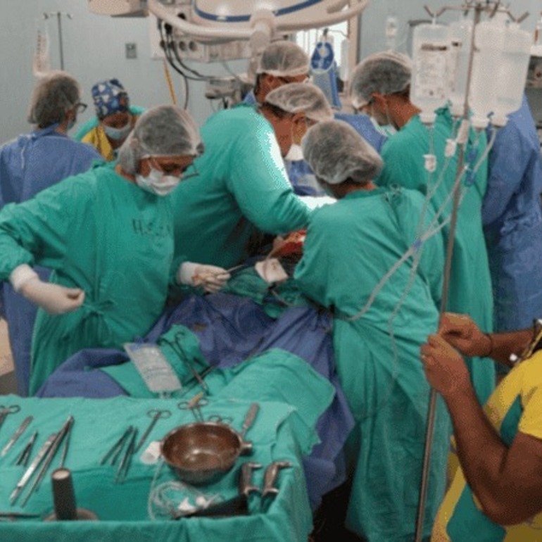 Imagen de El HECA realiz&oacute; una ablaci&oacute;n de &oacute;rganos con una t&eacute;cnica in&eacute;dita
