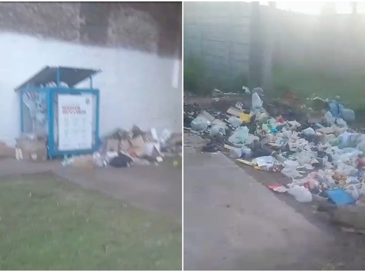 Imagen de Denuncian acumulaci&oacute;n de basura por calle Alvarado