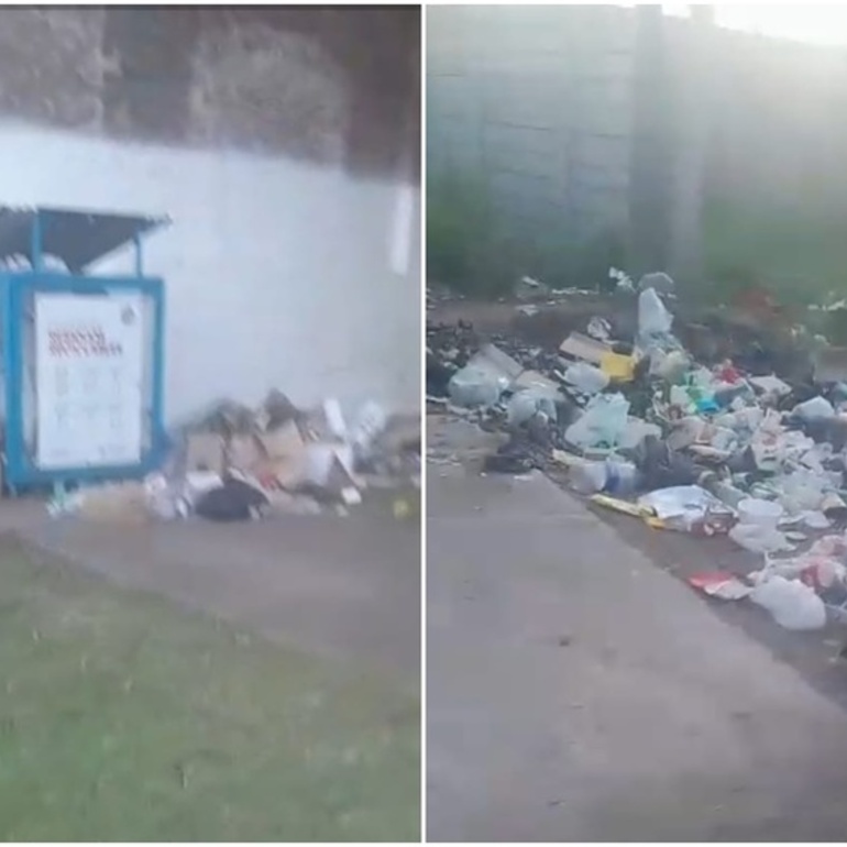 Imagen de Denuncian acumulaci&oacute;n de basura por calle Alvarado