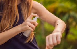 Imagen de Dengue: Santa Fe arranc&oacute; 2026 sin casos nuevos en esta temporada