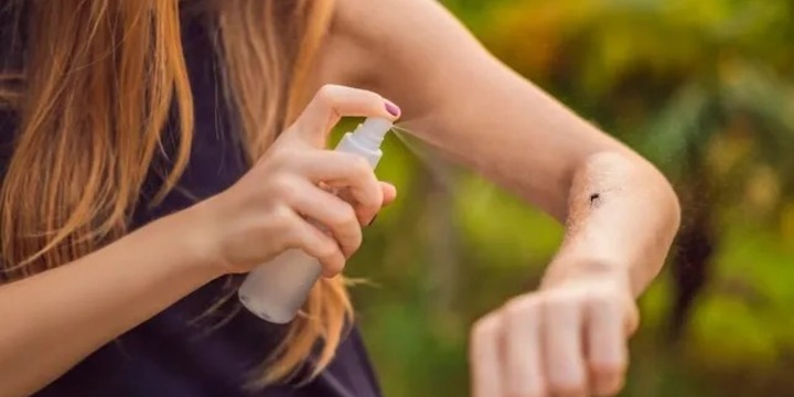 Imagen de Dengue: Santa Fe arranc&oacute; 2026 sin casos nuevos en esta temporada