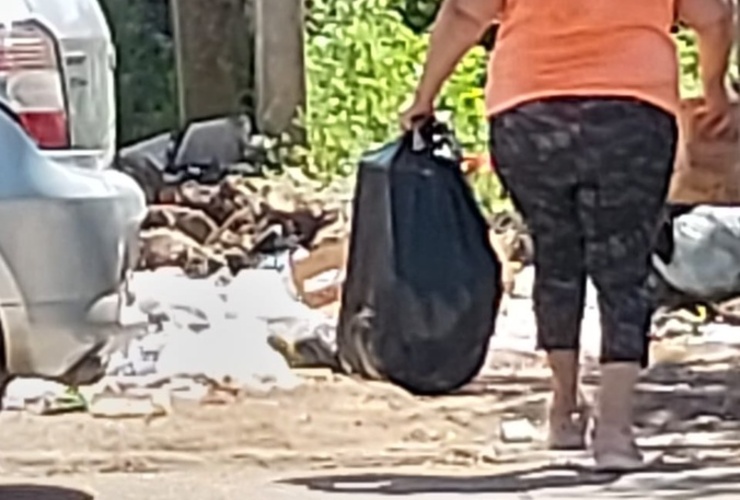 Imagen de Reclamo vecinal por basura y malos olores en calle Alvarado frente al Vivero Municipal