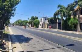 Imagen de El Concejo se reuni&oacute; con el Ejecutivo y vecinos por el cantero central de calle Intendente Costantini
