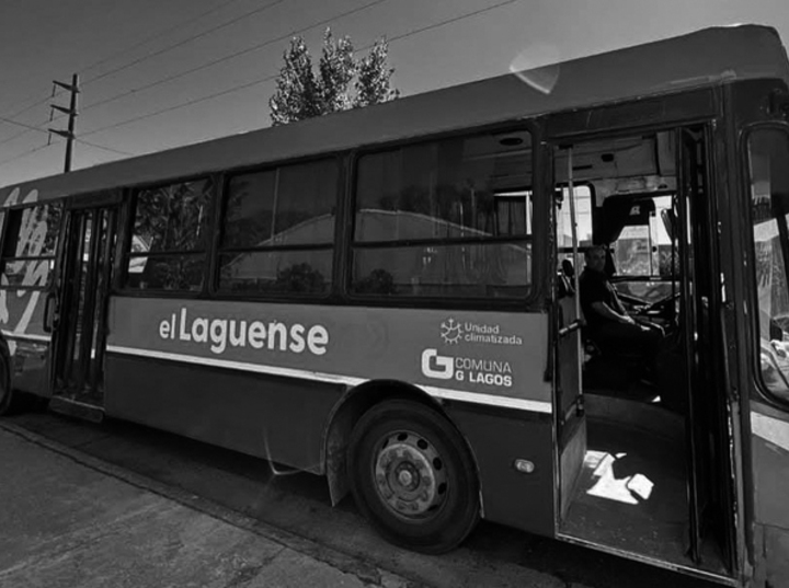 Imagen de "El Laguense": A punto de cumplir 2 a&ntilde;os el transporte lleva cerca de 600 pasajeros diarios