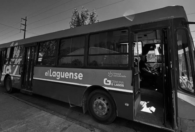 Imagen de "El Laguense": A punto de cumplir 2 a&ntilde;os el transporte lleva cerca de 600 pasajeros diarios