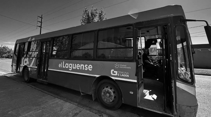 Imagen de "El Laguense": A punto de cumplir 2 a&ntilde;os el transporte lleva cerca de 600 pasajeros diarios