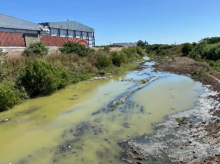 Las aguas del Arroyo seco completamente verdes.