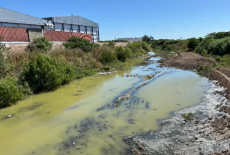 Las aguas del Arroyo seco completamente verdes.