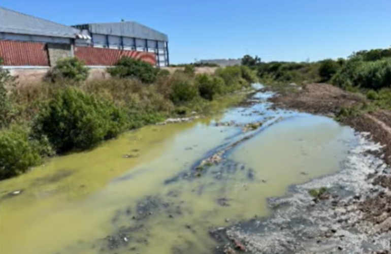 Las aguas del Arroyo seco completamente verdes.