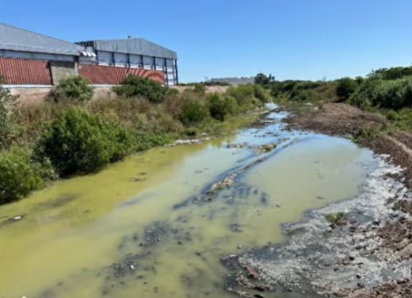 Las aguas del Arroyo seco completamente verdes.
