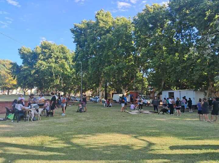 Imagen de Arroyo Seco: Exitosa primera jornada del a&ntilde;o de castraci&oacute;n y vacunaci&oacute;n animal