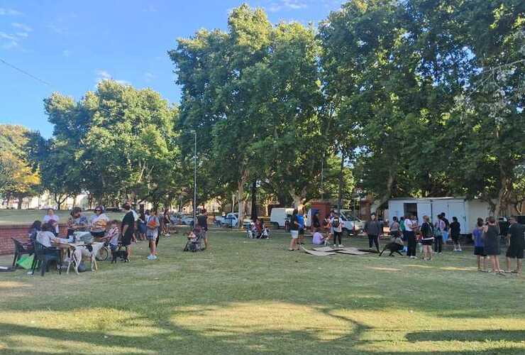 Imagen de Arroyo Seco: Exitosa primera jornada del a&ntilde;o de castraci&oacute;n y vacunaci&oacute;n animal