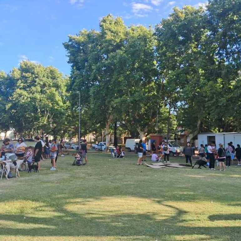 Imagen de Arroyo Seco: Exitosa primera jornada del a&ntilde;o de castraci&oacute;n y vacunaci&oacute;n animal