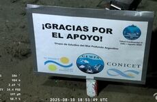 Imagen de Ciencia en vivo: El CONICET lanza un streaming las 24 horas para espiar la intimidad de los ping&uuml;inos en la Patagonia