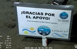 Imagen de Ciencia en vivo: El CONICET lanza un streaming las 24 horas para espiar la intimidad de los ping&uuml;inos en la Patagonia