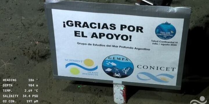 Imagen de Ciencia en vivo: El CONICET lanza un streaming las 24 horas para espiar la intimidad de los ping&uuml;inos en la Patagonia