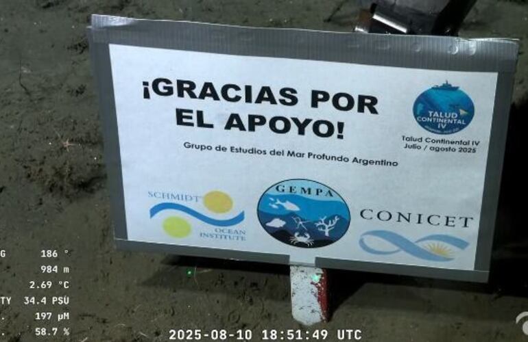 Imagen de Ciencia en vivo: El CONICET lanza un streaming las 24 horas para espiar la intimidad de los ping&uuml;inos en la Patagonia