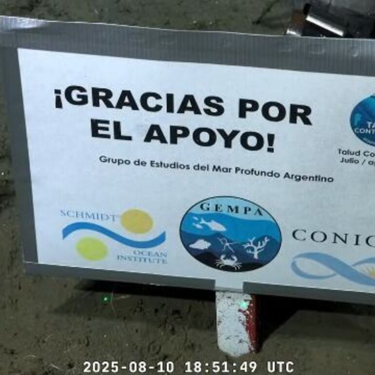 Imagen de Ciencia en vivo: El CONICET lanza un streaming las 24 horas para espiar la intimidad de los ping&uuml;inos en la Patagonia