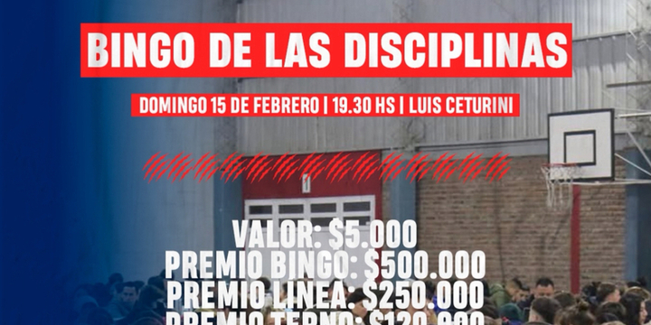 Imagen de El 15/02, Bingo de las Disciplinas de Talleres