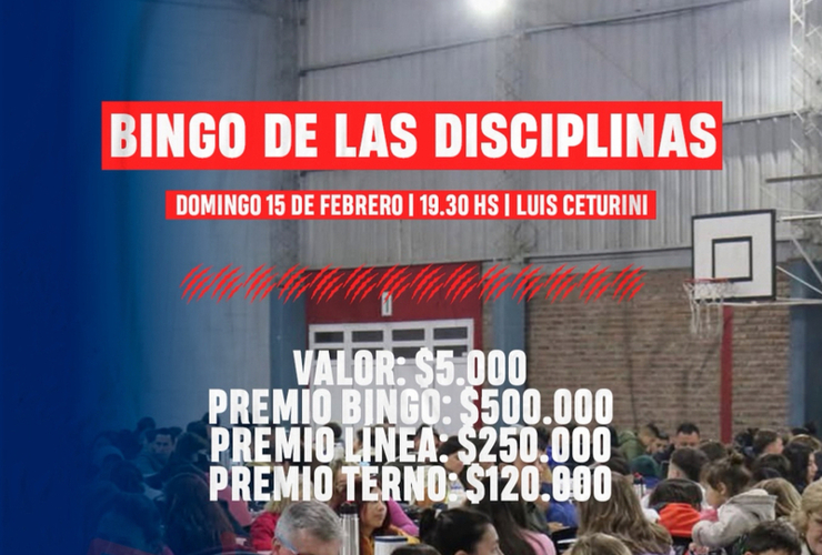 Imagen de El 15/02, Bingo de las Disciplinas de Talleres
