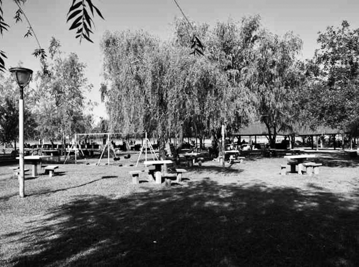 Imagen de Pueblo Esther: Reclaman por mayor mantenimiento en el Camping Municipal