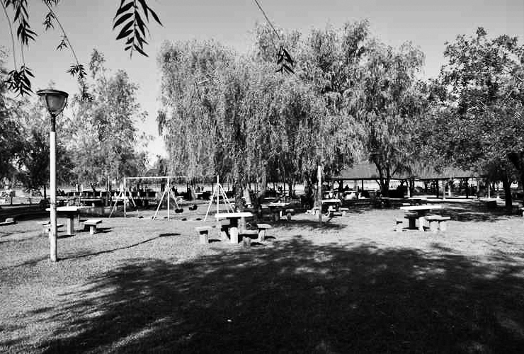 Imagen de Pueblo Esther: Reclaman por mayor mantenimiento en el Camping Municipal