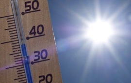 Imagen de Jornada calurosa con algunas chances de tormentas