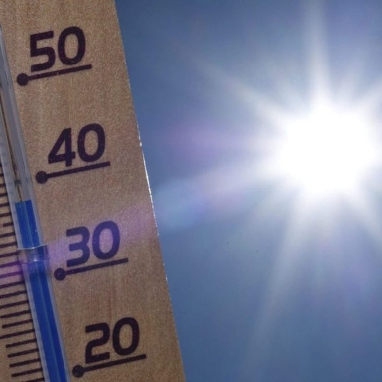 Imagen de Jornada calurosa con algunas chances de tormentas