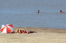 M&aacute;s de 40 personas sufrieron heridas por mordeduras de palometas en la costa de Victoria.
