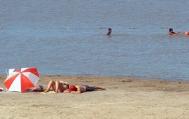 M&aacute;s de 40 personas sufrieron heridas por mordeduras de palometas en la costa de Victoria.
