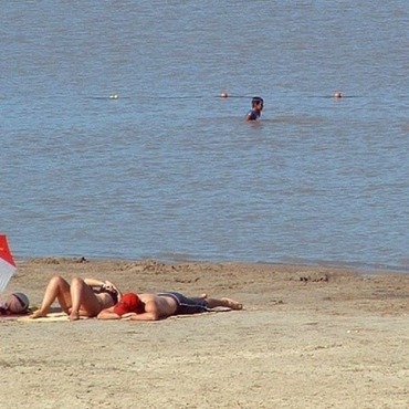 M&aacute;s de 40 personas sufrieron heridas por mordeduras de palometas en la costa de Victoria.
