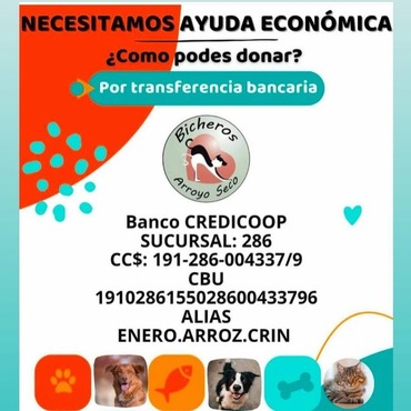 Imagen de La ONG Bicheros de Arroyo Seco suspendi&oacute; nuevos rescates por una deuda cercana al mill&oacute;n de pesos