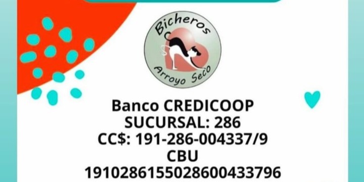 Imagen de La ONG Bicheros de Arroyo Seco suspendi&oacute; nuevos rescates por una deuda cercana al mill&oacute;n de pesos