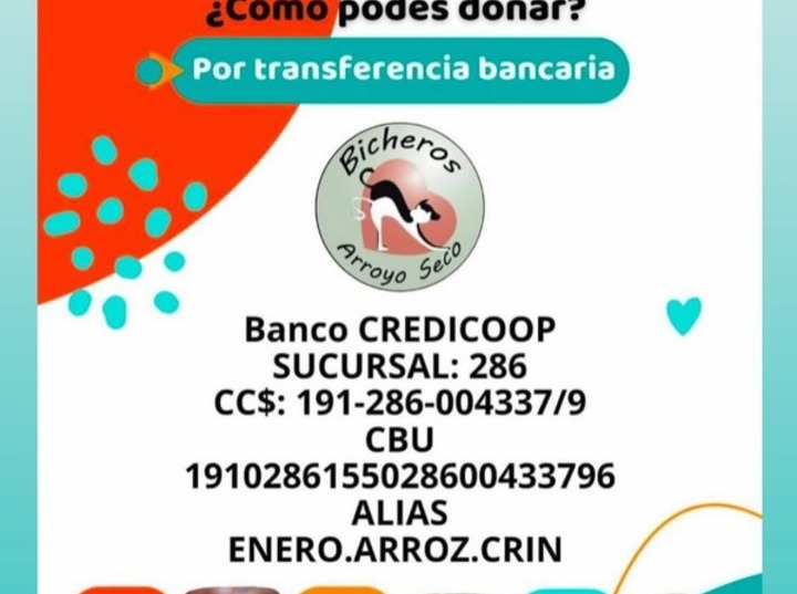 Imagen de La ONG Bicheros de Arroyo Seco suspendi&oacute; nuevos rescates por una deuda cercana al mill&oacute;n de pesos