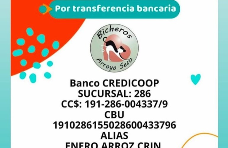 Imagen de La ONG Bicheros de Arroyo Seco suspendi&oacute; nuevos rescates por una deuda cercana al mill&oacute;n de pesos