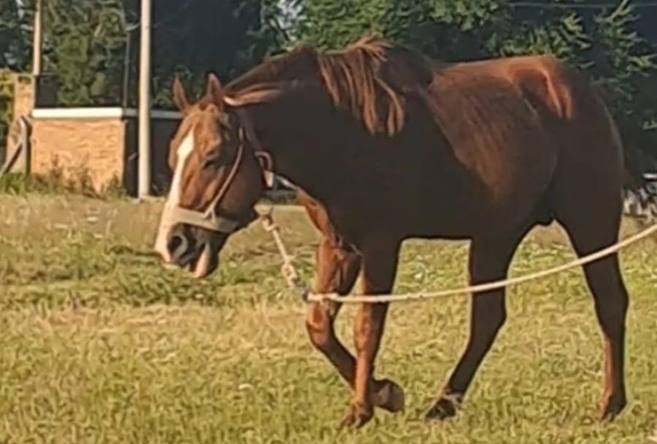 Se pide compartir la informaci&oacute;n y cualquier novedad comunicarla al tel&eacute;fono que aparece en la publicaci&oacute;n.
