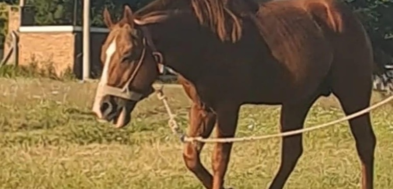 Se pide compartir la informaci&oacute;n y cualquier novedad comunicarla al tel&eacute;fono que aparece en la publicaci&oacute;n.