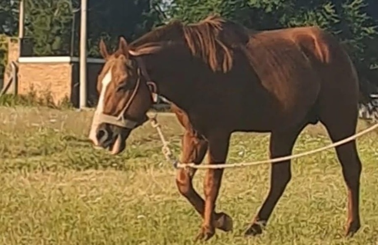 Se pide compartir la informaci&oacute;n y cualquier novedad comunicarla al tel&eacute;fono que aparece en la publicaci&oacute;n.