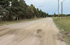 Imagen de Barrio Acevedo y zonas aleda&ntilde;as: lomos de burro precarios y falta de riego complican el tr&aacute;nsito y la salud