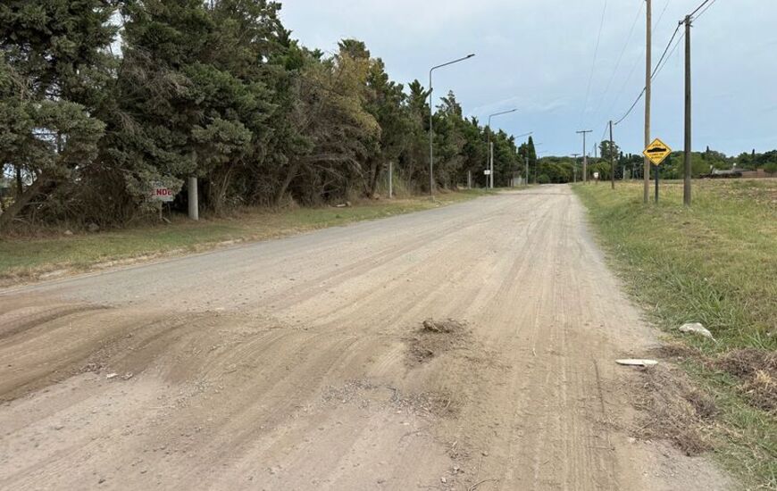 Imagen de Barrio Acevedo y zonas aleda&ntilde;as: lomos de burro precarios y falta de riego complican el tr&aacute;nsito y la salud