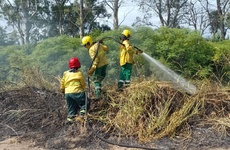 Imagen de Bomberos Voluntarios de Pav&oacute;n intervinieron en un incendio de pastizales sobre Ruta 21