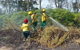 Imagen de Bomberos Voluntarios de Pav&oacute;n intervinieron en un incendio de pastizales sobre Ruta 21
