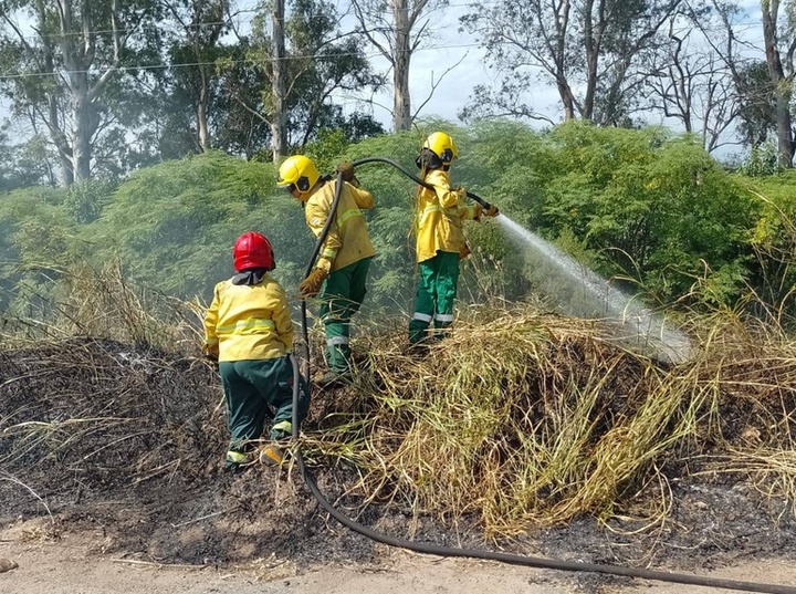 Imagen de Bomberos Voluntarios de Pav&oacute;n intervinieron en un incendio de pastizales sobre Ruta 21