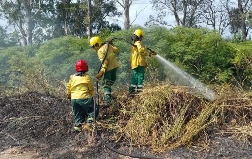 Imagen de Bomberos Voluntarios de Pav&oacute;n intervinieron en un incendio de pastizales sobre Ruta 21