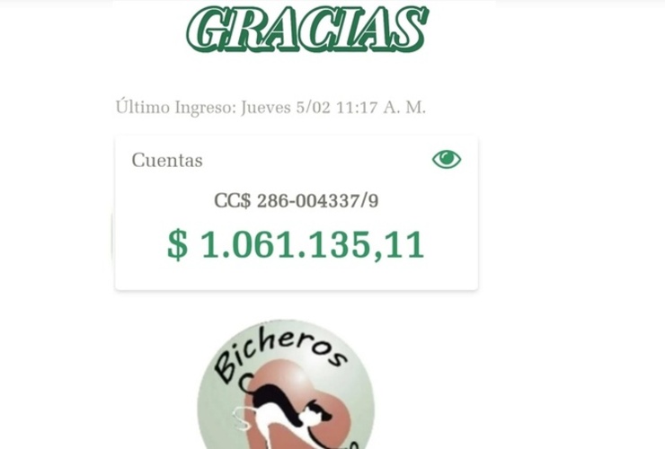 La imagen difundida en las redes sociales de la ONG