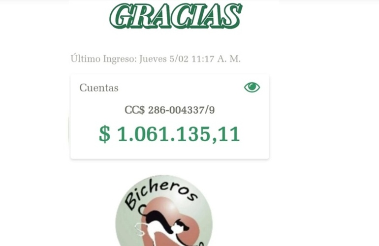 La imagen difundida en las redes sociales de la ONG