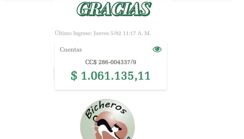 La imagen difundida en las redes sociales de la ONG