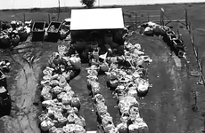 Imagen de General Lagos: Mejoran la infraestructura de la Planta de Reciclaje